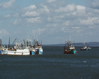 Mariner's Mart - Fishing Boats